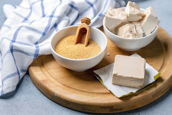 Suhi i svježi kvasac