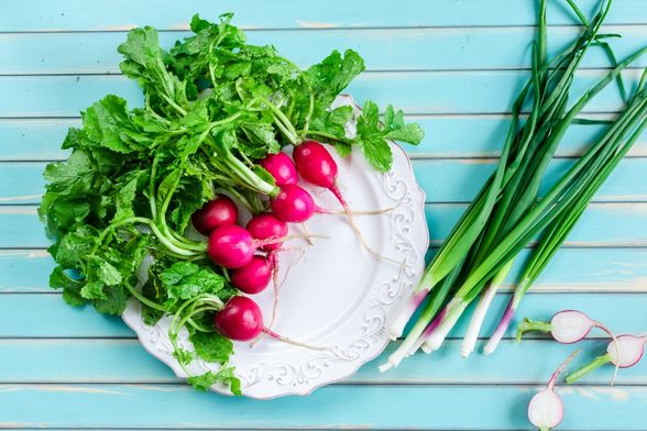 Rotkvice i mladi luk kraljevi su uskrsnog stola