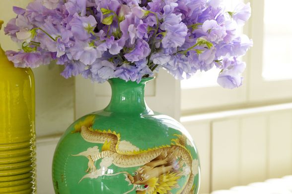 Delikatni cvijet mirisna grahorica izgleda očaravajuće - 9