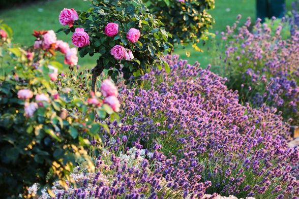 Travanjsko orezivanje je ključno