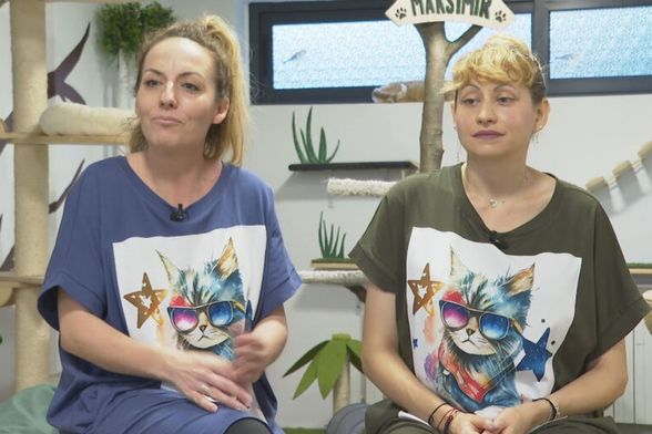 In Magazin: Mačji hotel