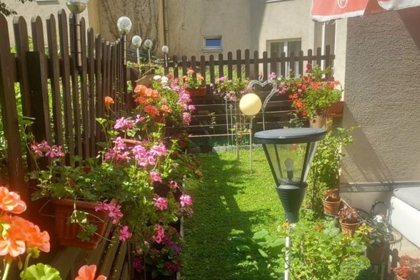 Vrt Nataše Marinković izgleda poput male oaze sreće - 10