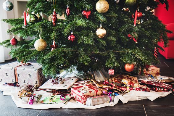 Kako odabrati božićno drvce koje će trajati