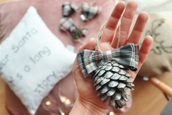 Ukrasi s češerima mogu biti dio doma i nakon blagdana