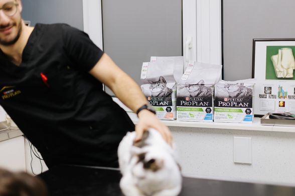 Mia Kovačić i Spock