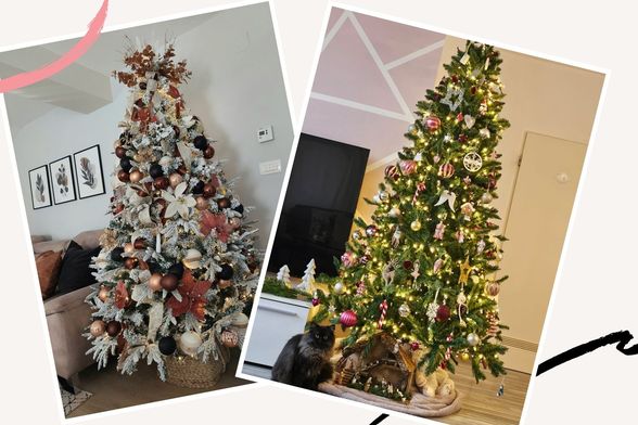 Božićna drva čitateljica portala zadovoljna.hr