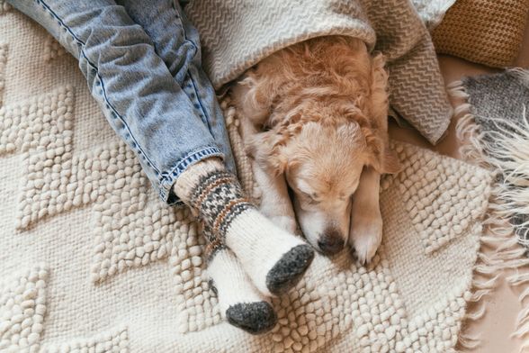 Opustite se ovaj tjedan, zaslužili ste