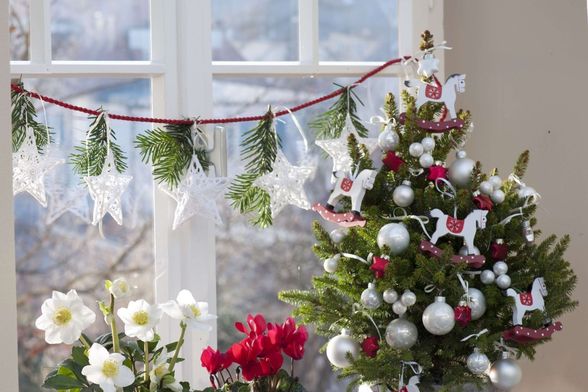 Bijelo cvijeće u božićnim dekoracijama