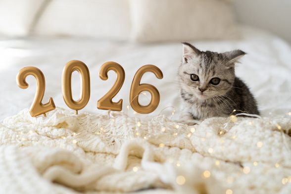 Ulazak u novu godinu idealna je prilika za mali životni reset