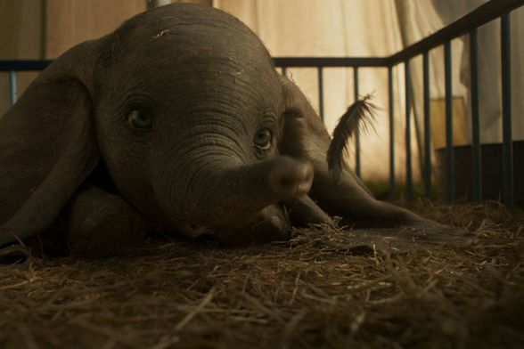 Scene iz Disneyjevog filma \'Dumbo\' o slavnom letećem sloniću - 5