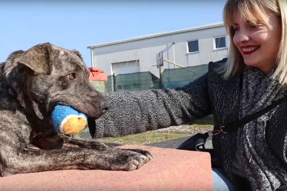 Modna blogerica i youtuberica Matea Frajsberger posjetila je Udrugu Indigo