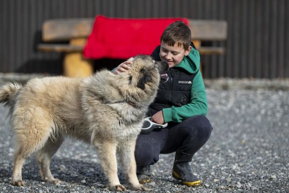 Simon Ozimec ima samo 10 godina i svake subote volontira u Skloništu za nezbrinute životinje Luč Zagorja