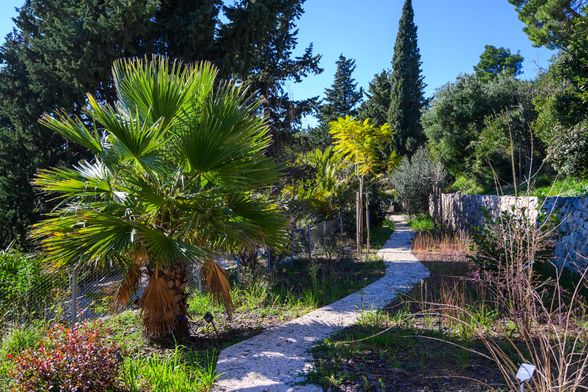 Botanički vrt u Park-šumi Marjan spreman je za otvaranje - 9