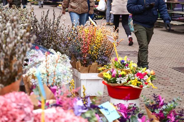 Cvijeće na splavnici