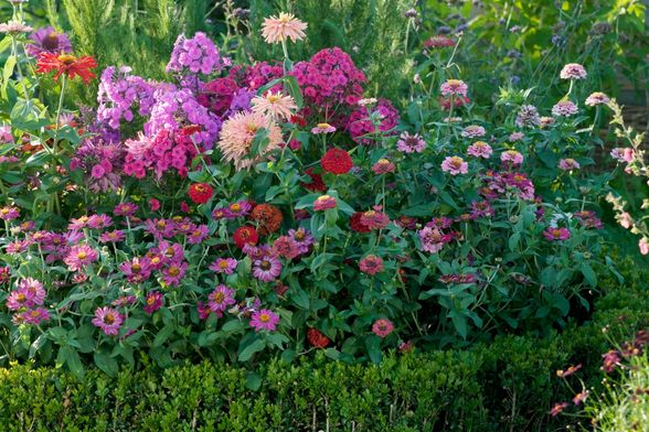 Vrt ne mora biti prevelika briga