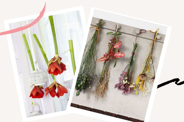 Cvijeće koje visi je divan ukras doma