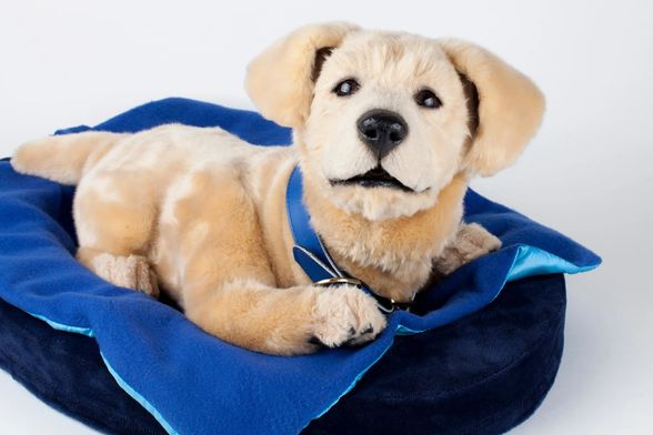 Robotski psić Jennie društvo je osobama koje boluju od Alzheimerove bolesti - 6