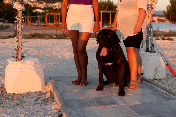 Crikvenica prva na svijetu ima stazu kućnih ljubimaca - 8