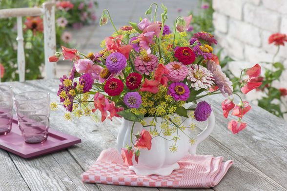 Cvijet cinija jedan je od najljepših i najzahvalnijih cvjetova za vrt - 7