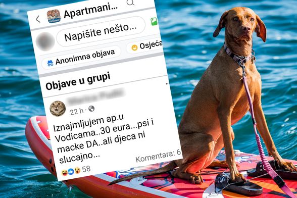 Oglas za iznajmljivanje apartmana u Vodicama