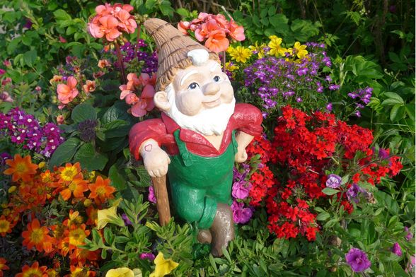 Patuljak je najslađi ukras vrta - 1