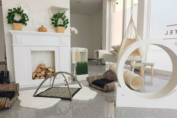 Prvi hotel za mačke u Hrvatskoj otvoren je u Dugom Selu - 15