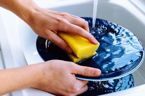 Spužvica za pranje suđa