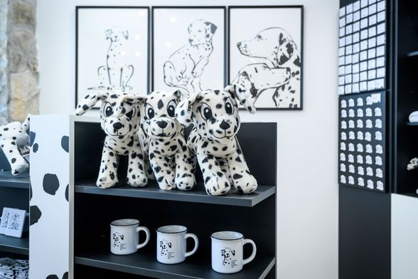 Kuća dalmatinskog psa otvorena je u Šibeniku - 15