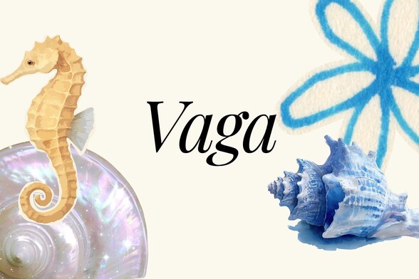 Vaga