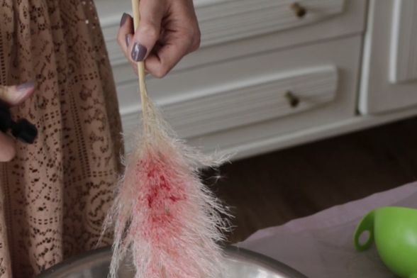 Bojenje pampasa sa sastojcima iz hladnjaka - 2