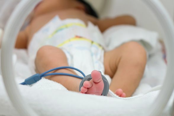 Vratimo palčiće u Petrovu