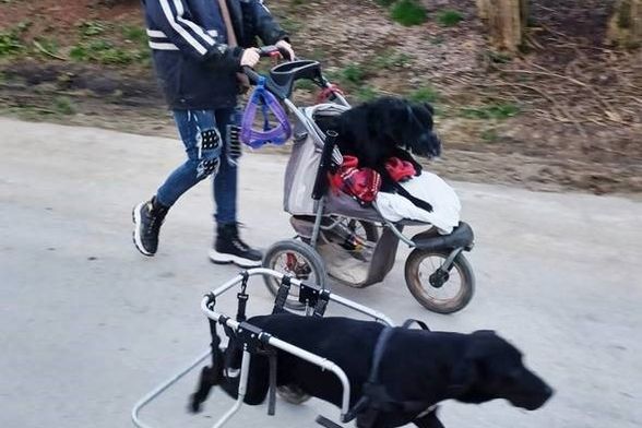 Leteći odred iz osječkog azila - 8