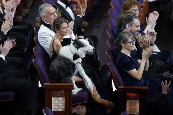 Pas Messi iz filma 'Anatomija pada' imao je svoj stolac na dodjeli Oscara - 4