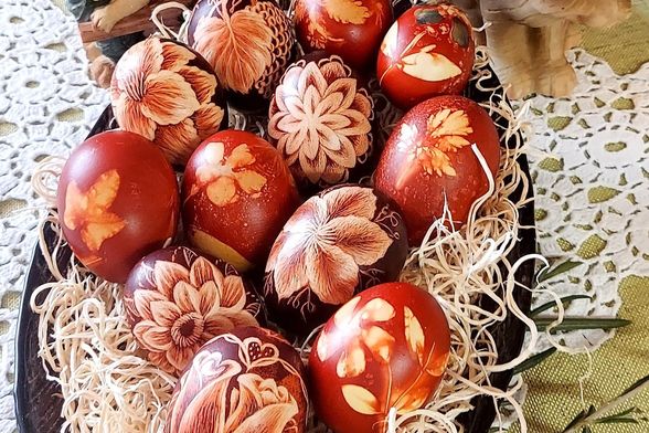 Divne pisanice čitateljice Klaudije Malatestinić