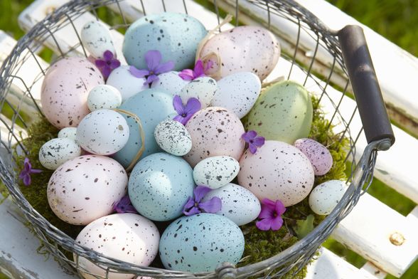 Pisanice s pjegicama - 8