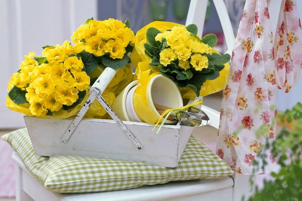 Sitnice koje će vrtlarenje učiniti još ljepšim i ugodnijim - 5