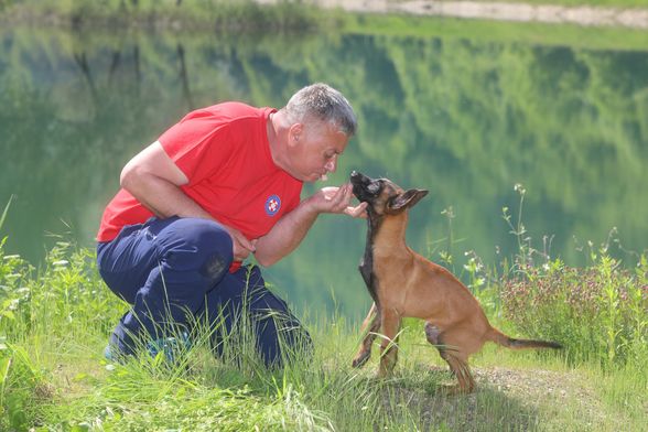 Mladi belgijski ovčar Zorro novi je potražni pas HGSS stanice Ogulin - 8