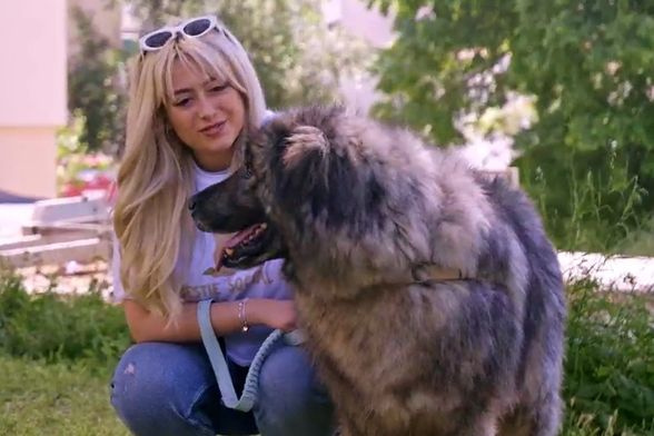 Pas Jakov ima nevjerojatno životnu priču