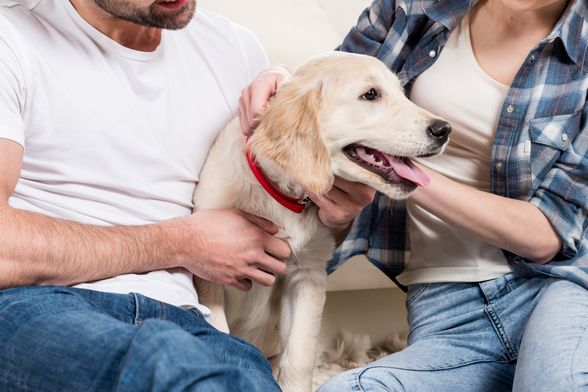 Može li pas imati zadnju riječ?