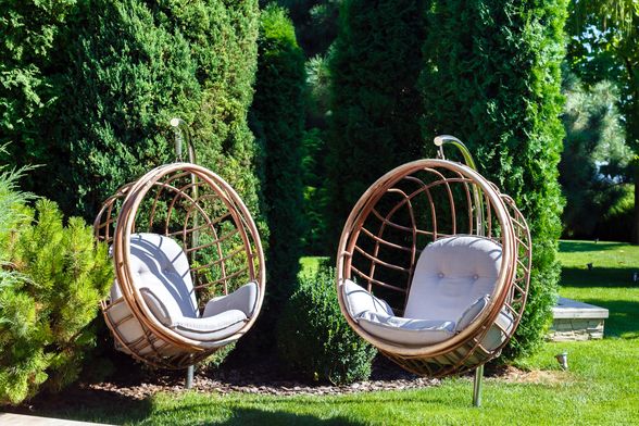 Tuje u dvorištu stvaraju predivan zeleni ugođaj