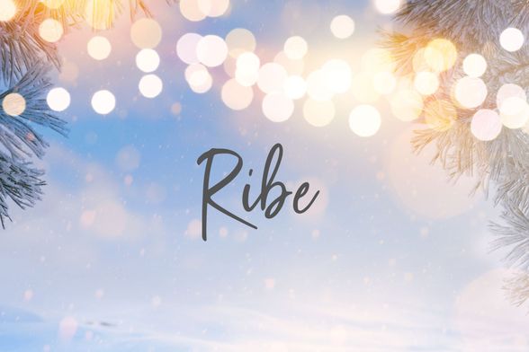 Ribe