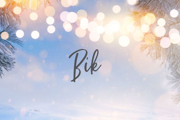 Bik
