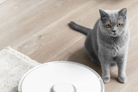 Zahvaljujući pametnim senzorima, mapiranju prostora i mogućnosti programiranja, robotski usisavači štede vrijeme i energiju