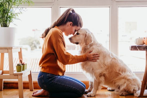Psi i njihovi vlasnici često dijele određene osobine