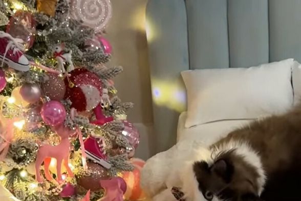 Maca Meredith Mae obožava Božić