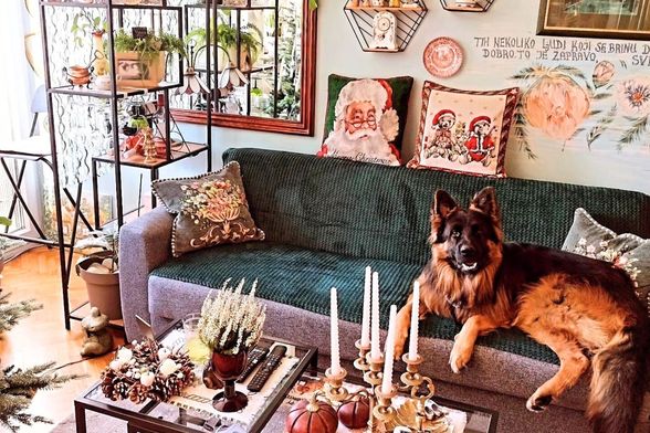 Stan Sonje Vranić iz Novog Sada izgleda poput male zemlje čuda