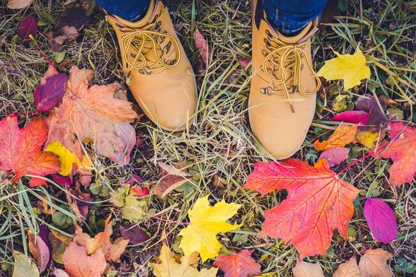 Šetnja po jesenskom lišću