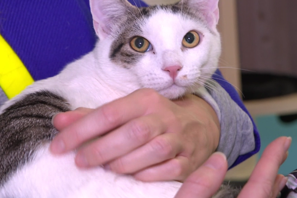 Mia Kovačić spasila i udomila Spocka