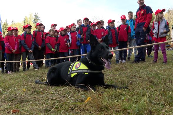Mali heroji na Sljemenu