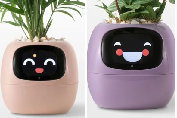 Plantagotchi posude veliki su hit